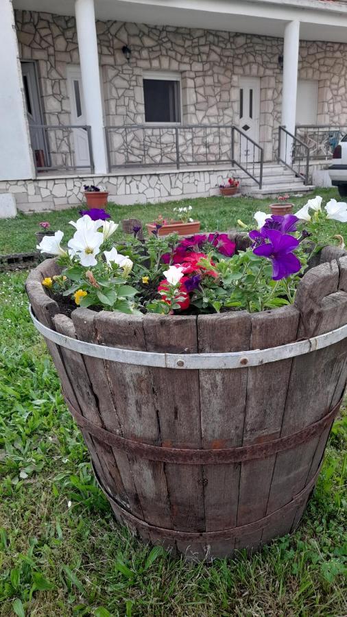 Apartament Kamena Kuca Family Rodin